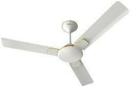 HAVELLS Enticer 900 mm Anti Dust 3 Blade Ceiling Fan