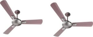 HAVELLS Festiva 1200 mm Anti Dust 3 Blade Ceiling Fan