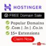 Hostinger Free Domain Sale: Get .com, .in, .net Domain Free